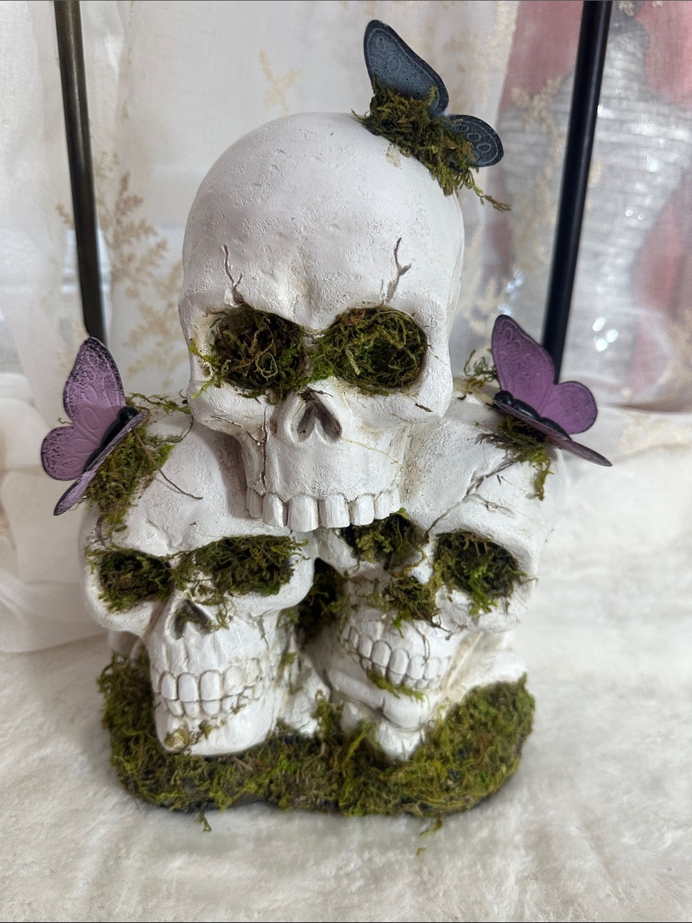 Halloween skull moss butterfly 🦋 decor
